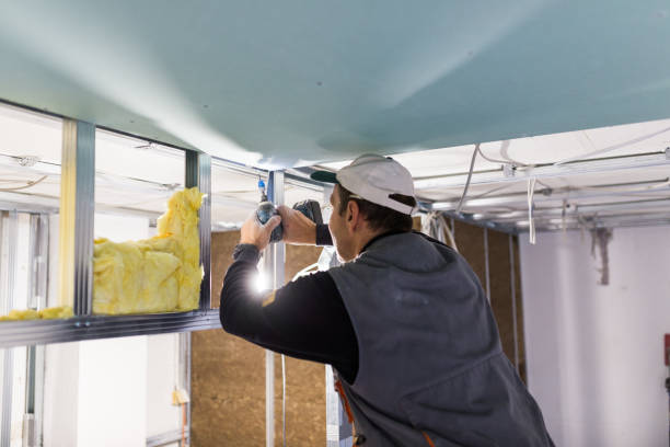Best Residential Insulation in Key Vista, FL