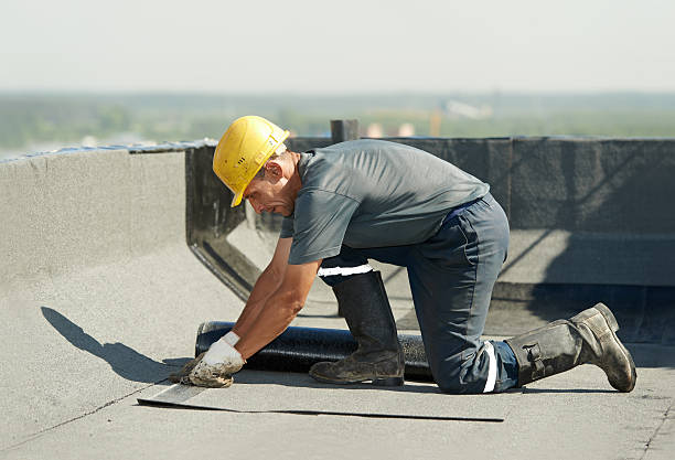 Best Insulation Installation Services in Key Vista, FL